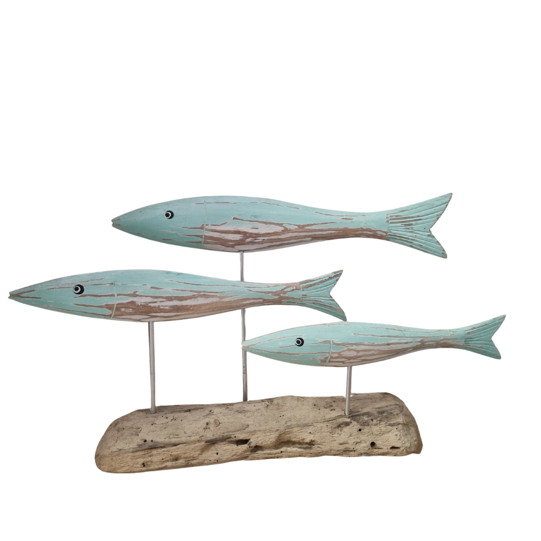 School Of Fish on Drift Wood Rustic