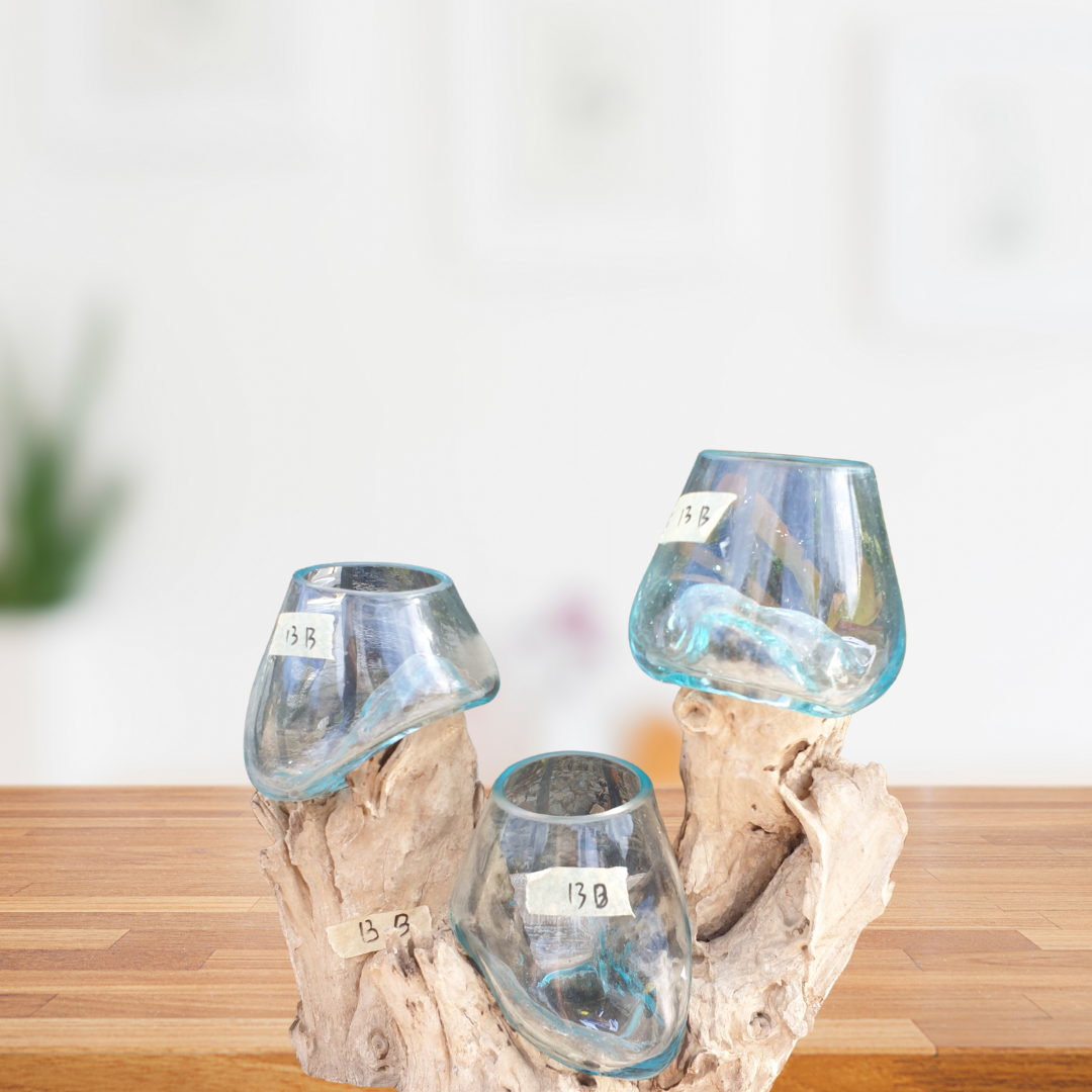 Glass on Driftwood Three Bowls