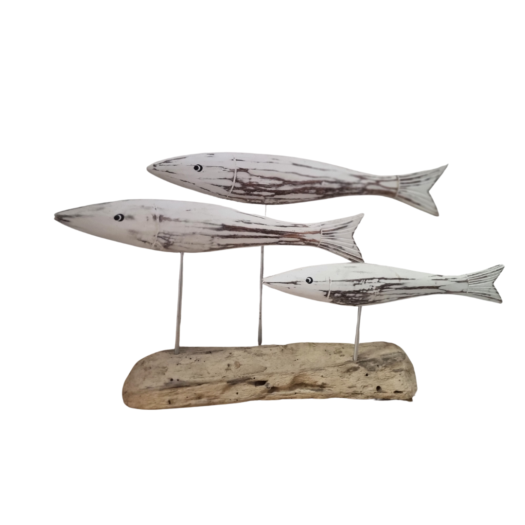 School Of Fish on Drift Wood Rustic