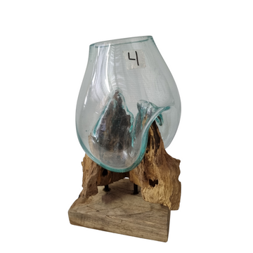 Terrariums Glass on Drift Wood