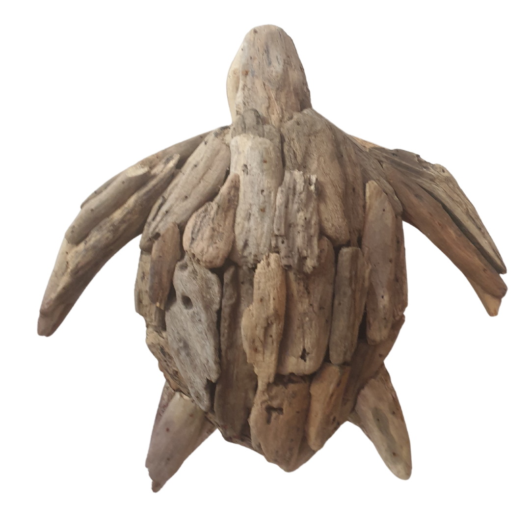 Driftwood Turtle