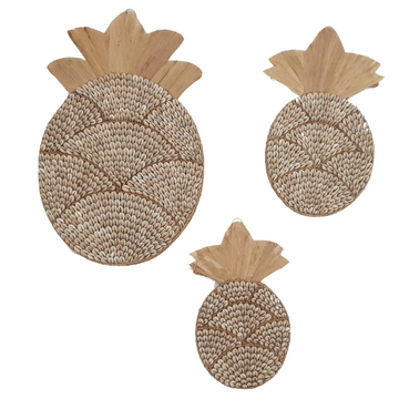 Tropical Pineapple Shell Wall Art