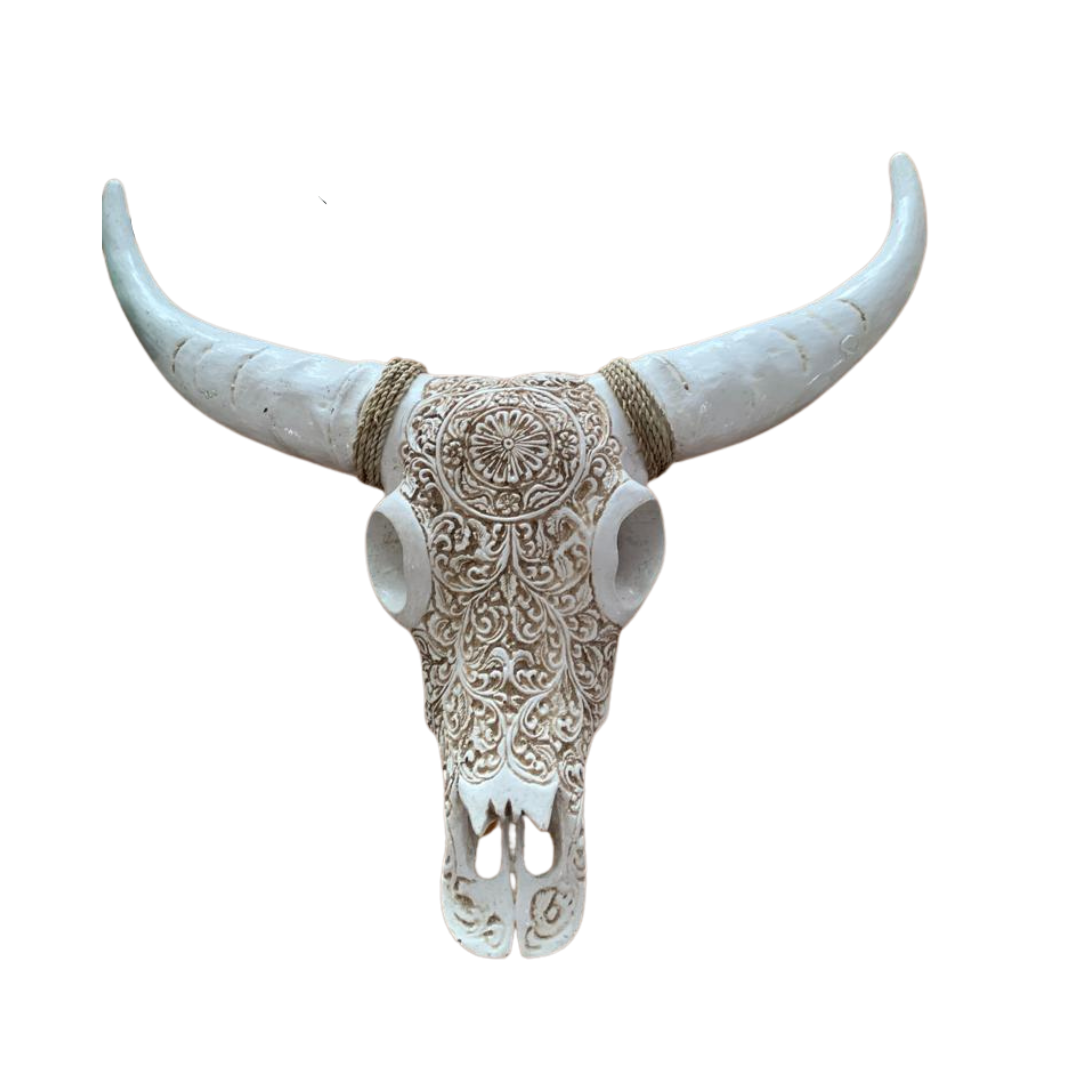 cow skull wall decor Australia