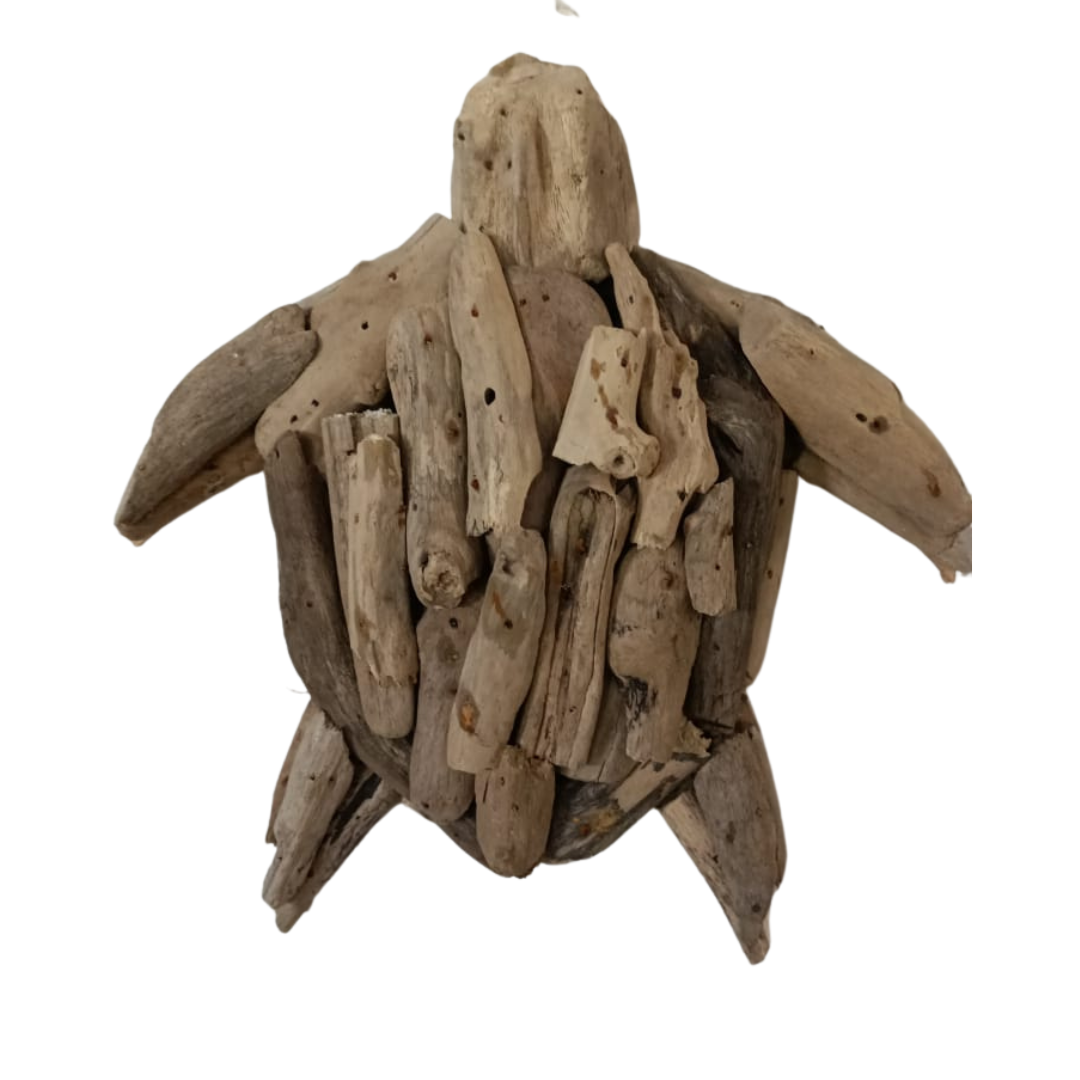 DRIFTWOOD TURTLE