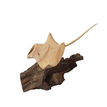 Manta Ray Root Wood Carving