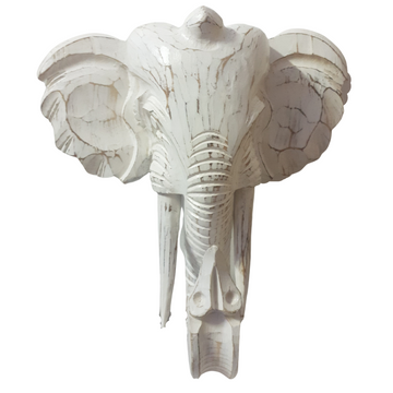 White Elephant Head Wall Art