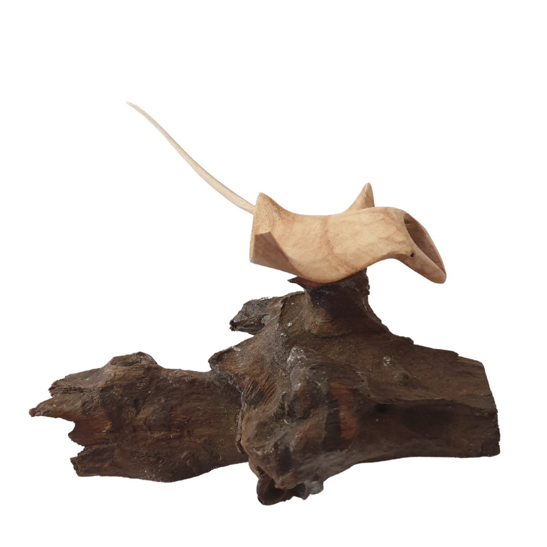 Manta Ray Root Wood Carving