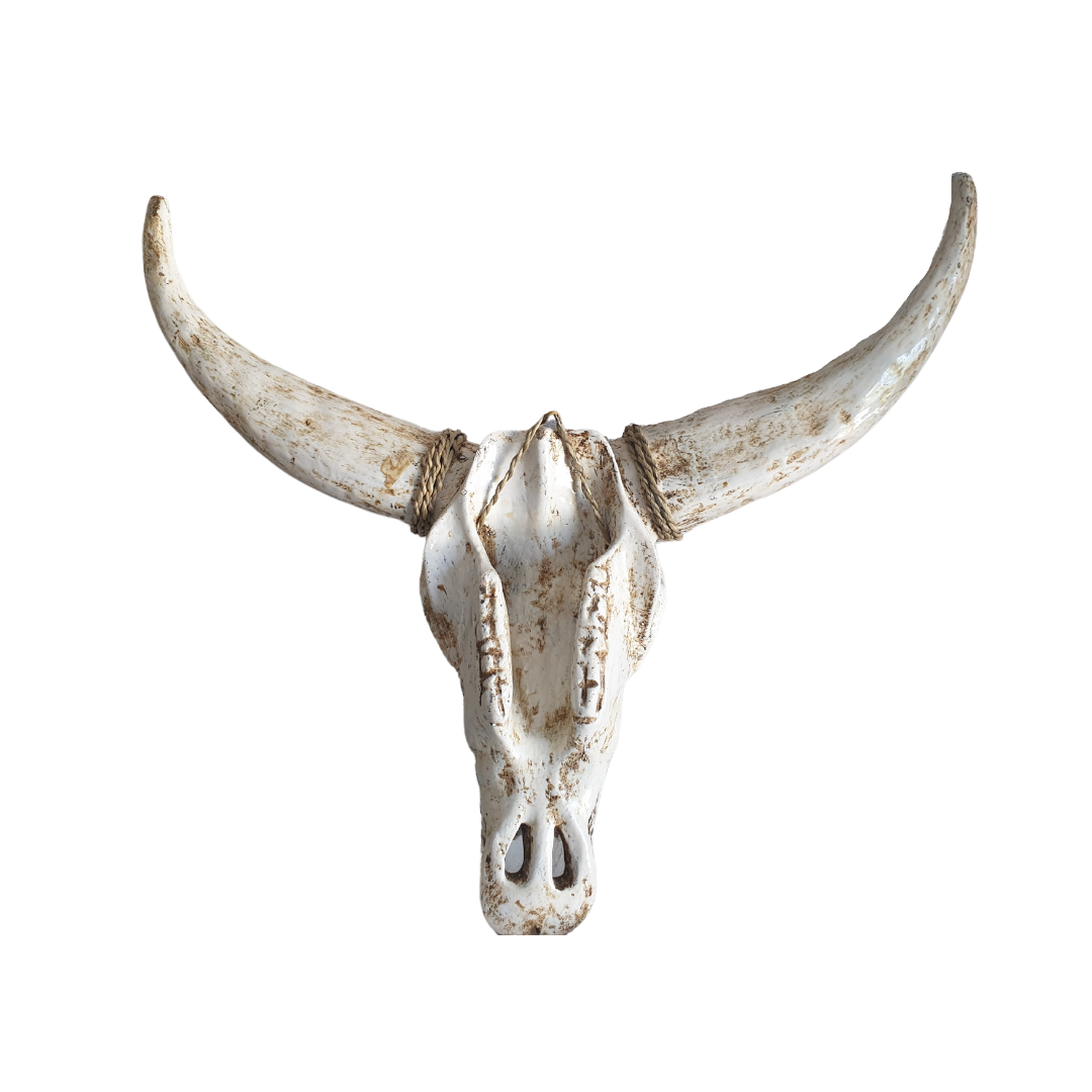 cow skull wall  decor 