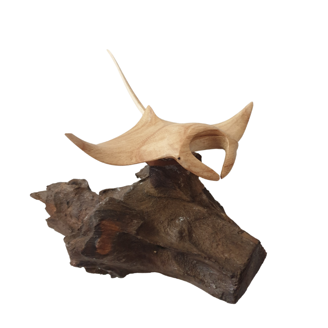 Manta Ray Root Wood Carving