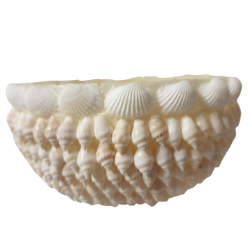 Shell Bowl Decorative Table Top Decor