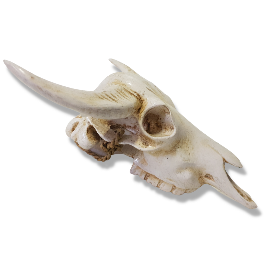 animal skull wall decor 