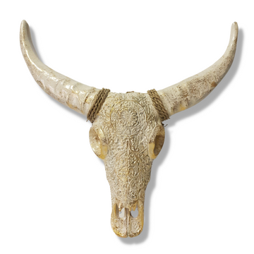 Resin Boho Cow-Bull Skull - White- Gold Wall Art