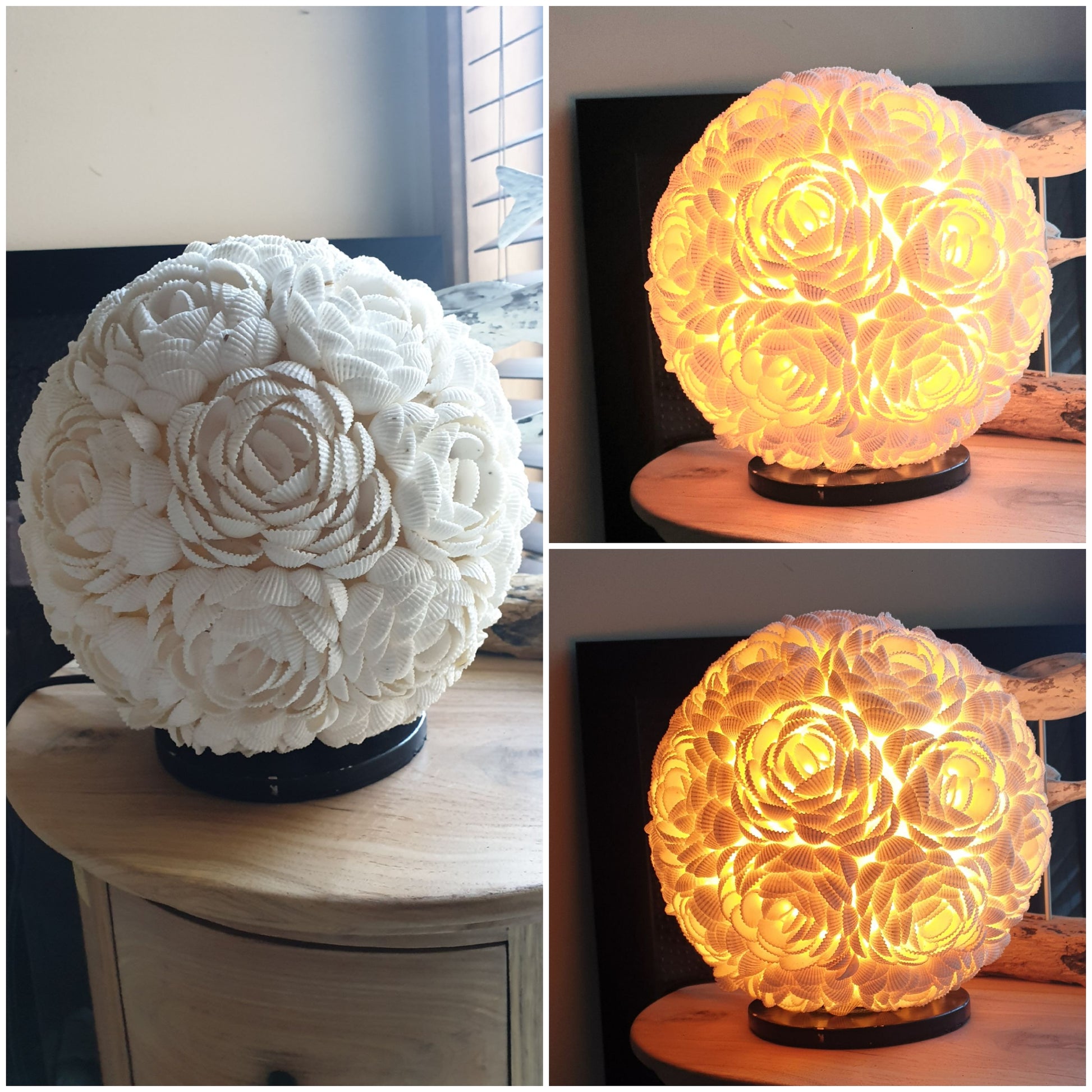 Table Lamp Rose Shell Design