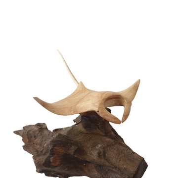 Manta Ray Root Wood Carving