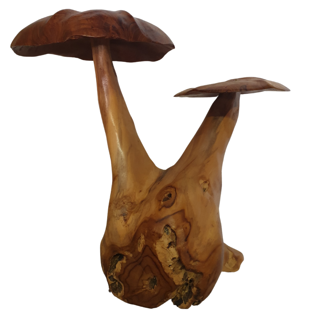 Fungi Décor (Mushroom Décor)