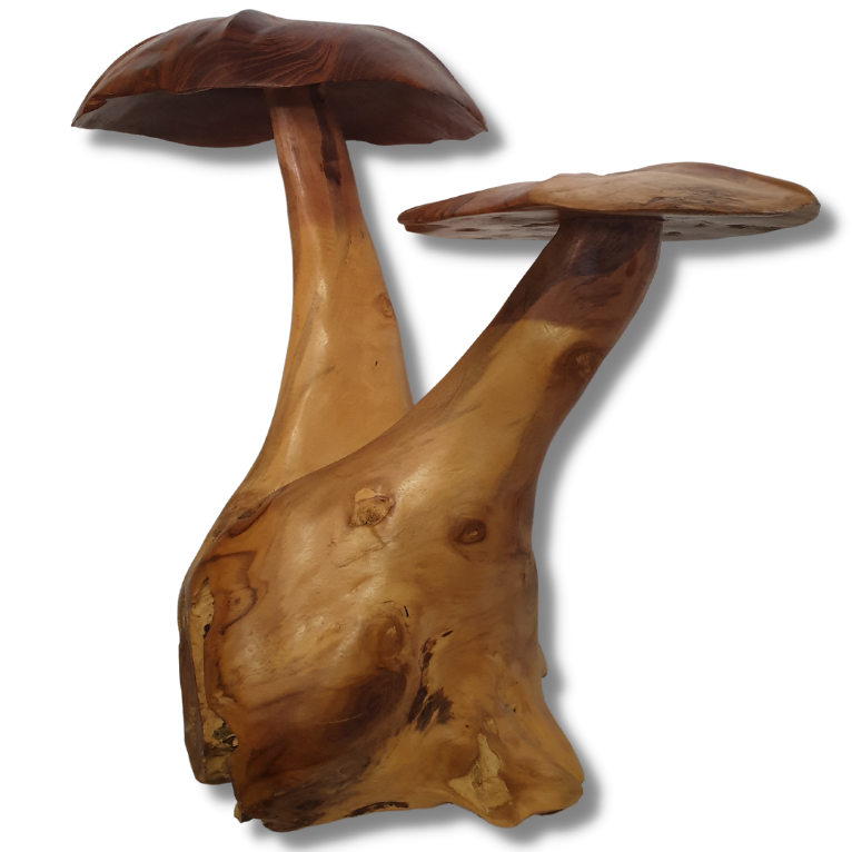 Fungi Décor (Mushroom Décor)