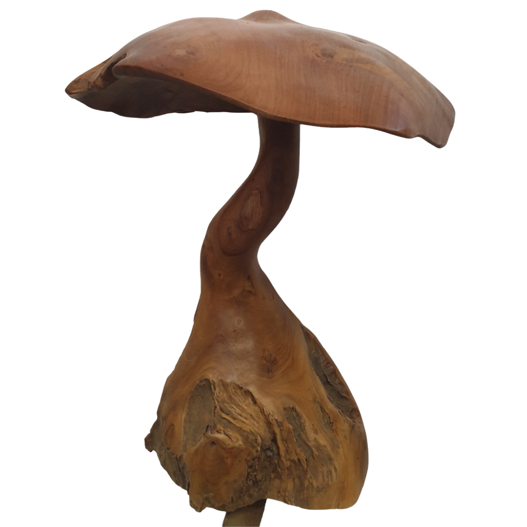 Fungi Décor (Mushroom Décor) 