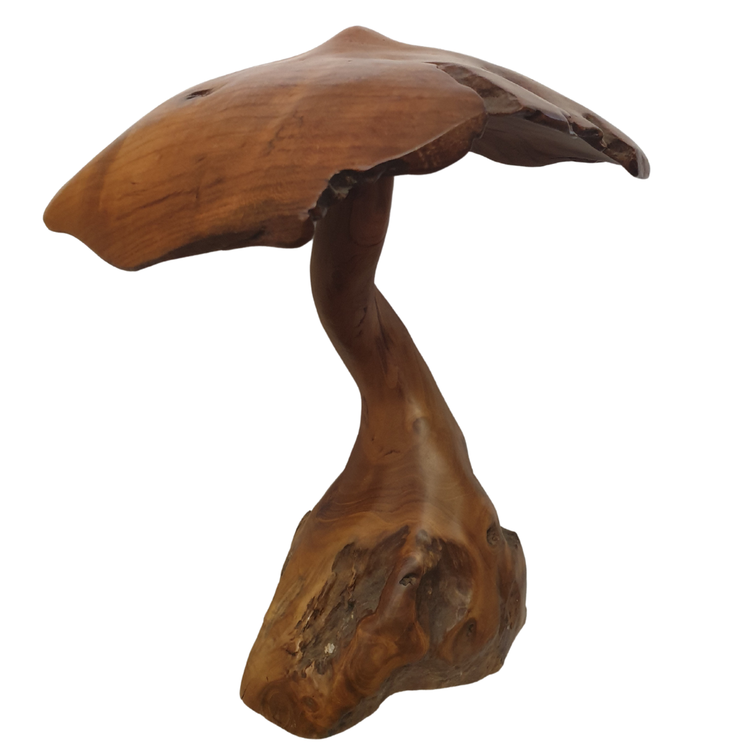 Fungi Décor (Mushroom Décor) 