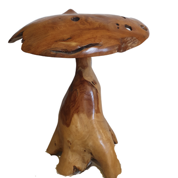 Root Wood Mushroom Fungi Décor