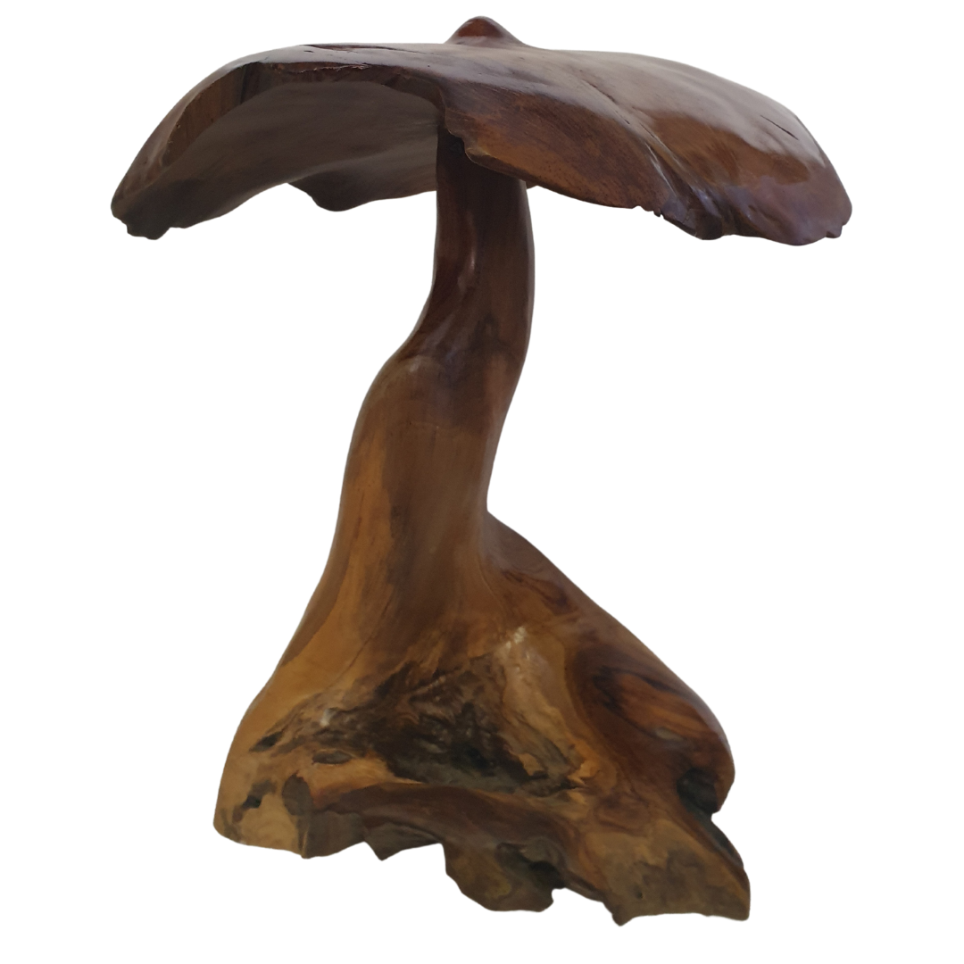 Wooden Mushroom Fungi Décor