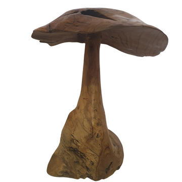 Fungi Décor (Mushroom Décor)